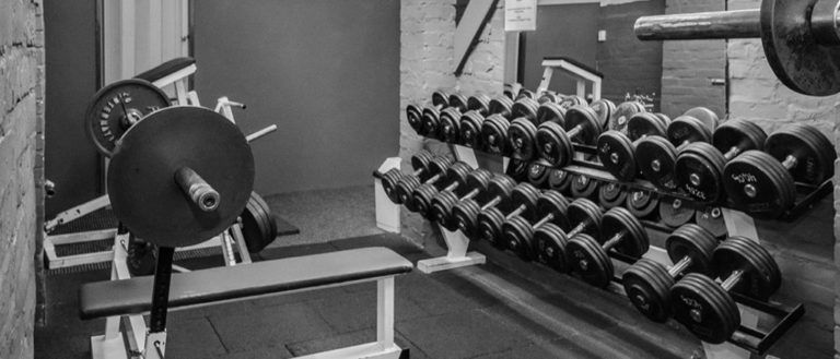 Fitalis Rügen 1 4 768x329