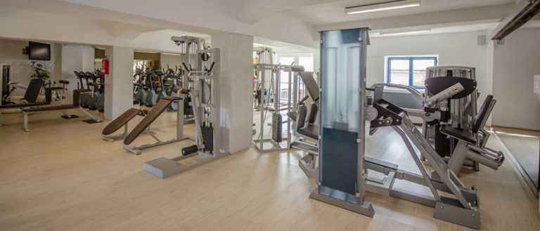 Fitalis Rügen 3 768x329