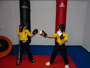 Kickboxen Lopez 6 300x225