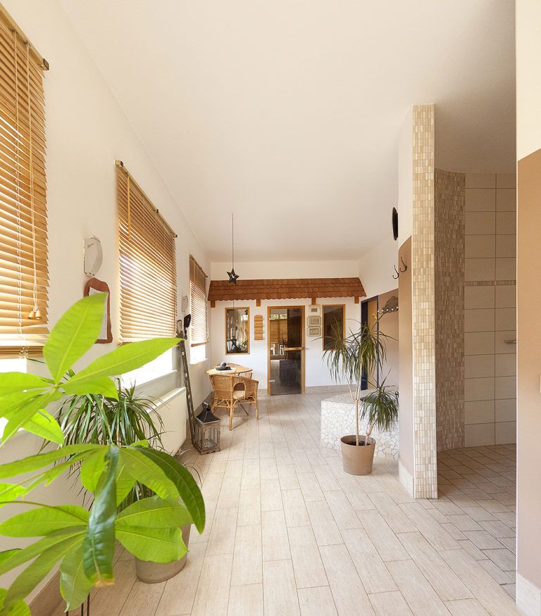 StudioImpuls205 768x875