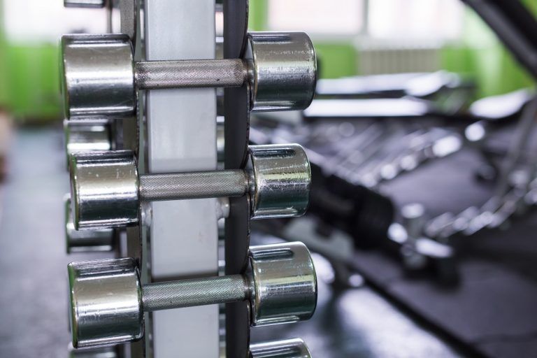 rows of dumbbells in the gym PSYEMDX 1 768x512
