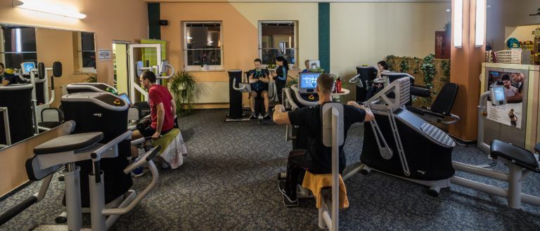 scholzhalle4 768x329