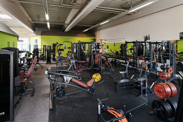 freihantelflaeche 800px 768x512